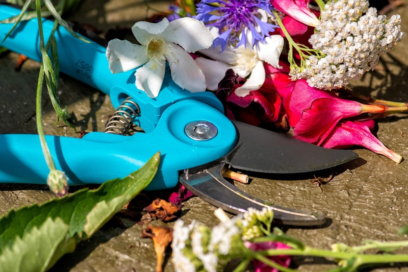 Pruning Shears & Tool Sets