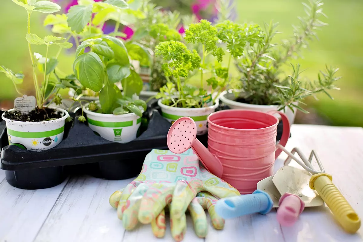 Must-Have Gardening Tools